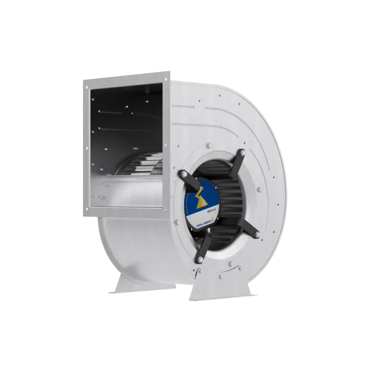 RD